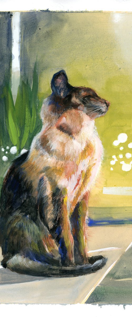 Siamese cat by Olga Tchefranov (Shefranov)