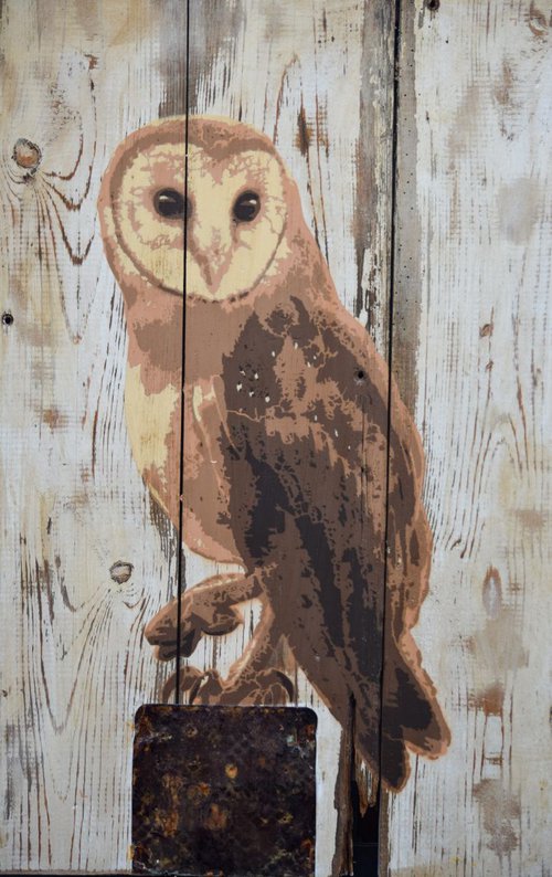 Barn owl by Luke Agnew