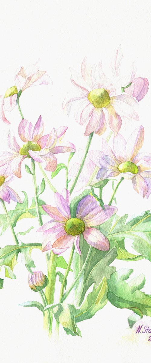 Ukrainian watercolour. Chamomiles by Nina Zakharova