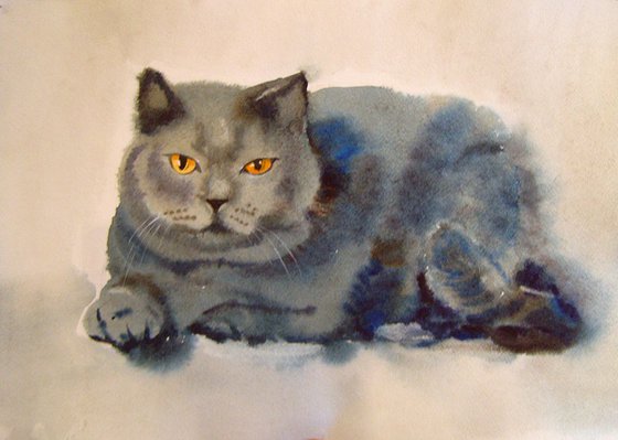 Gray Cat, watercolor painting 30x42 cm, gift art idea!