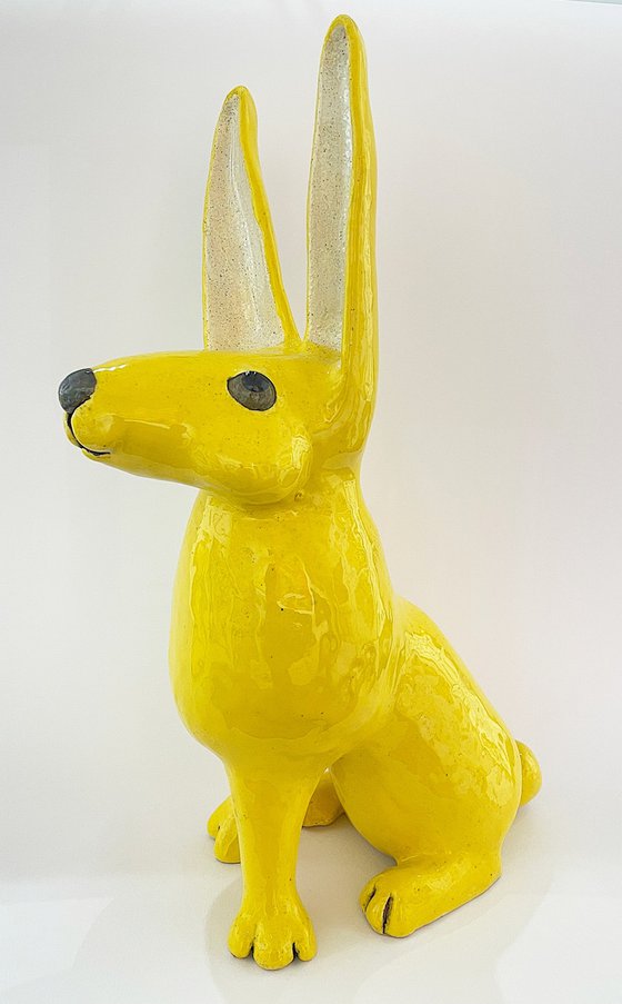 Yellow rabbit