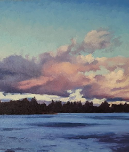 Ice Floes in Eden by Christopher  Gill