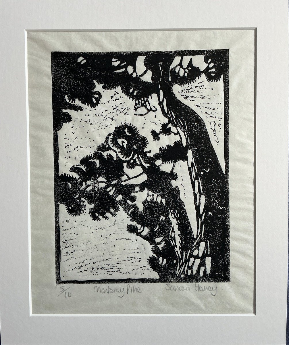 Botanical Linocut By Sandra Haney, 10 X 12", Monterey Pine, Original Artwork