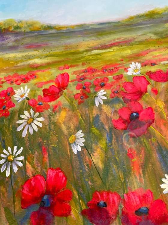 Poppy Fields