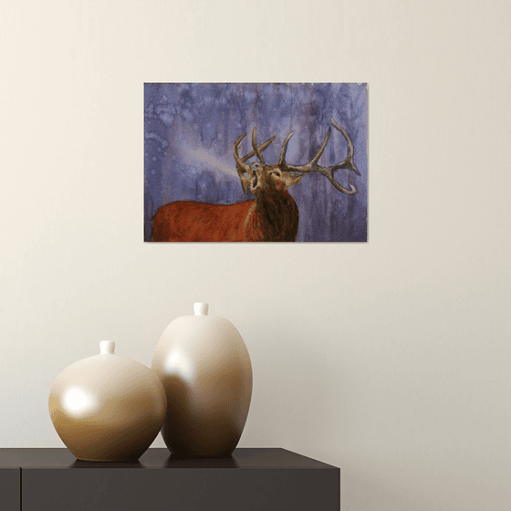 Deer / Original Painting / graceful animal / / color harmony of watercolor / a gift for you