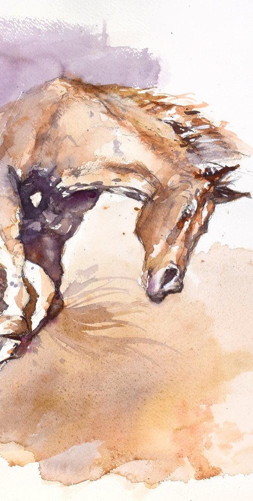 Wild horse by Goran Žigolić Watercolors