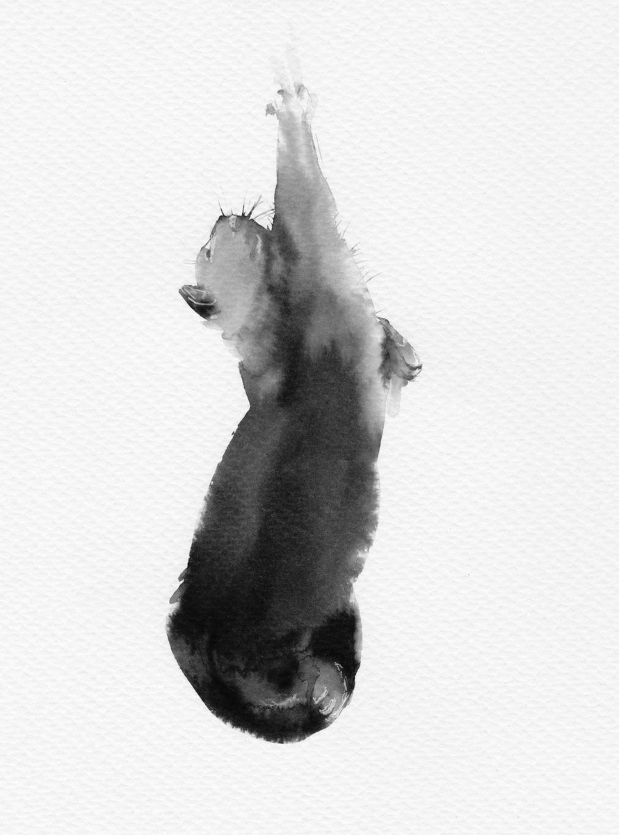 Expressive Animal Ink Drawing By Doriana Popa, 7 X 9, Cute Cat, Original Artwork