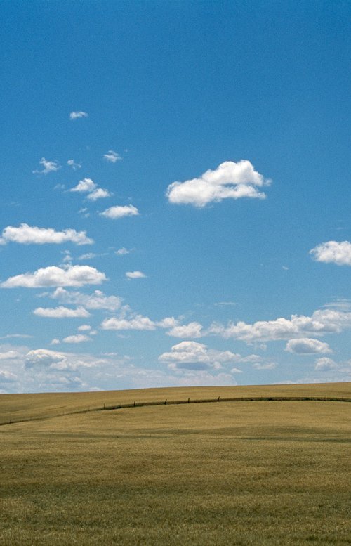 Grain Silo by James Cooper Images