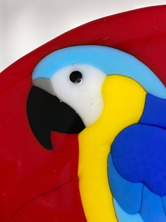 Macaw Fused Glass Bird Art
