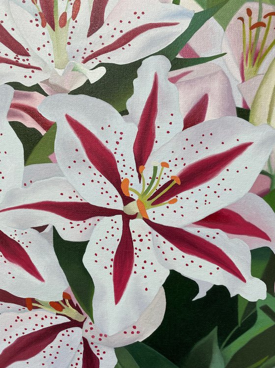 Pink and White Lilies