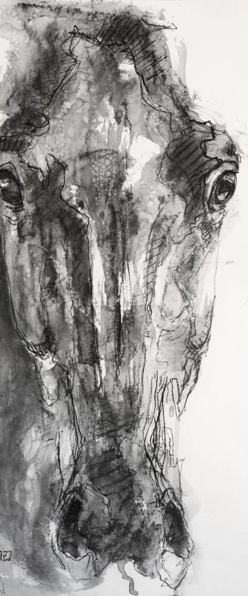 Face to Face 6t by Benedicte Gele