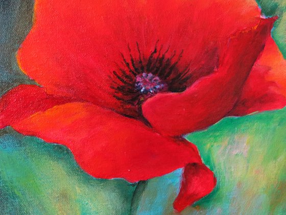 Perfect Poppy