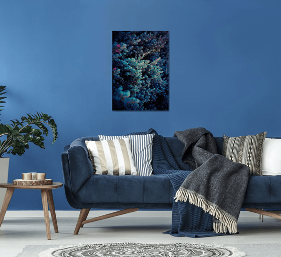 Spring | Limited Edition Fine Art Print 1 of 10 | 50 x 75 cm
