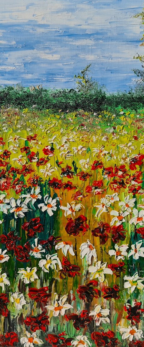Colored meadow by Daniel Urbaník