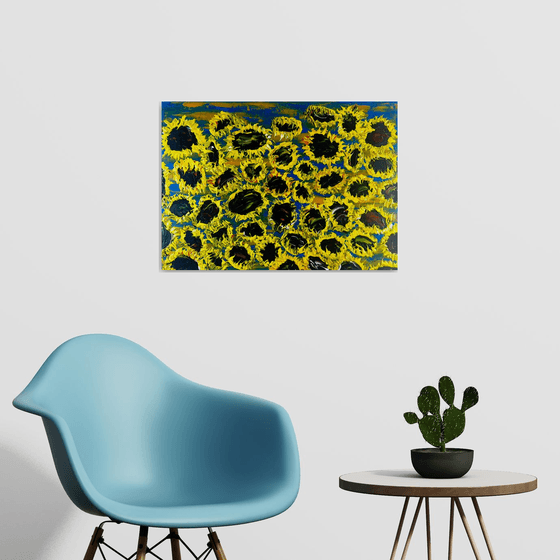 Blooming sunflowers 7