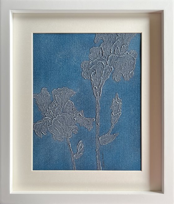 Iris Germanica Blue