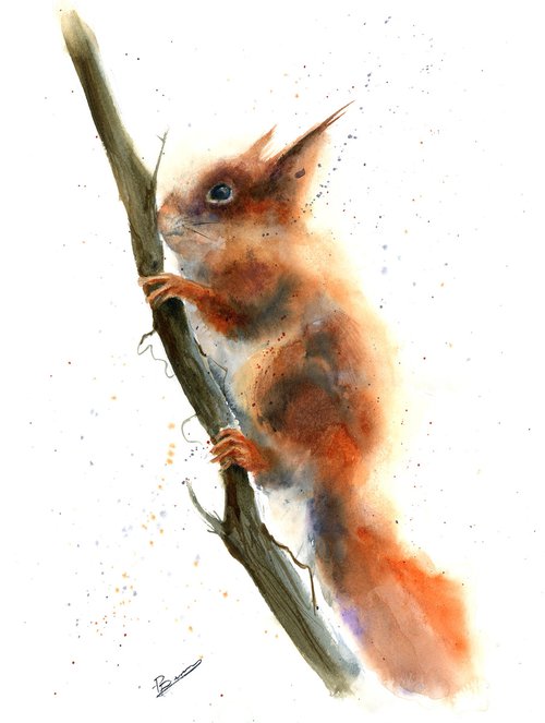 Squirrel on the tree by Olga Shefranov (Tchefranov)