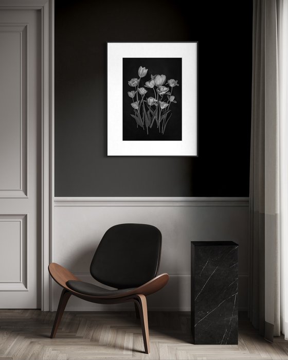 Tulips, Black and white flowers