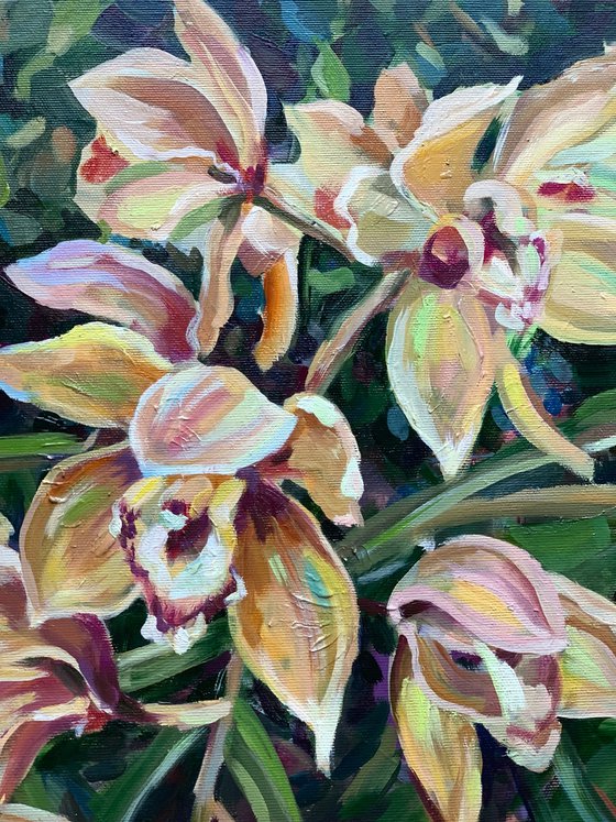 Tropical delicate orchids