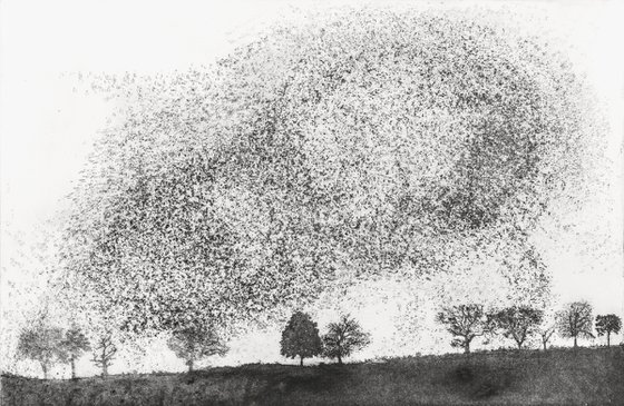 Starling Murmuration II