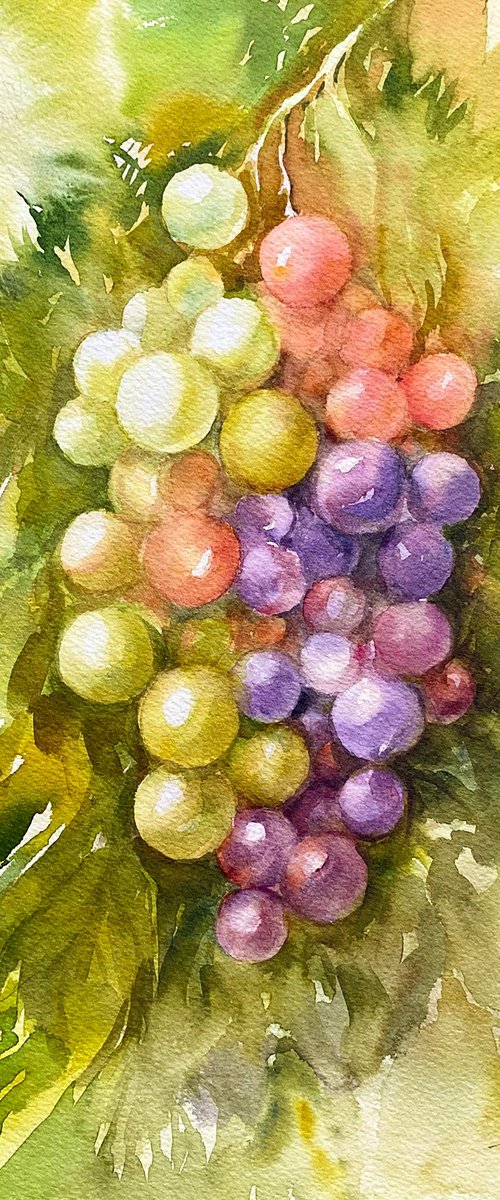 Bunch of Grapes by Arti Chauhan