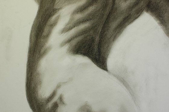 Charcoal Nude Study.