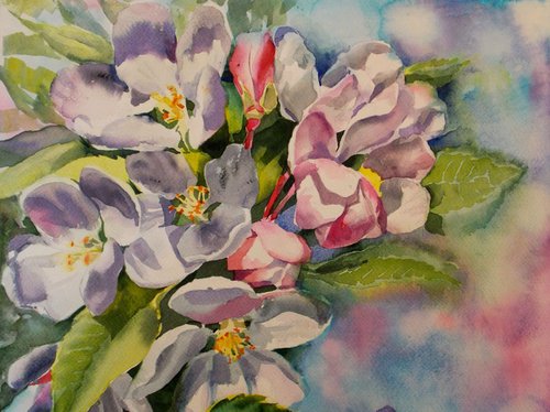 Flowers of apple#5 by Yuryy Pashkov
