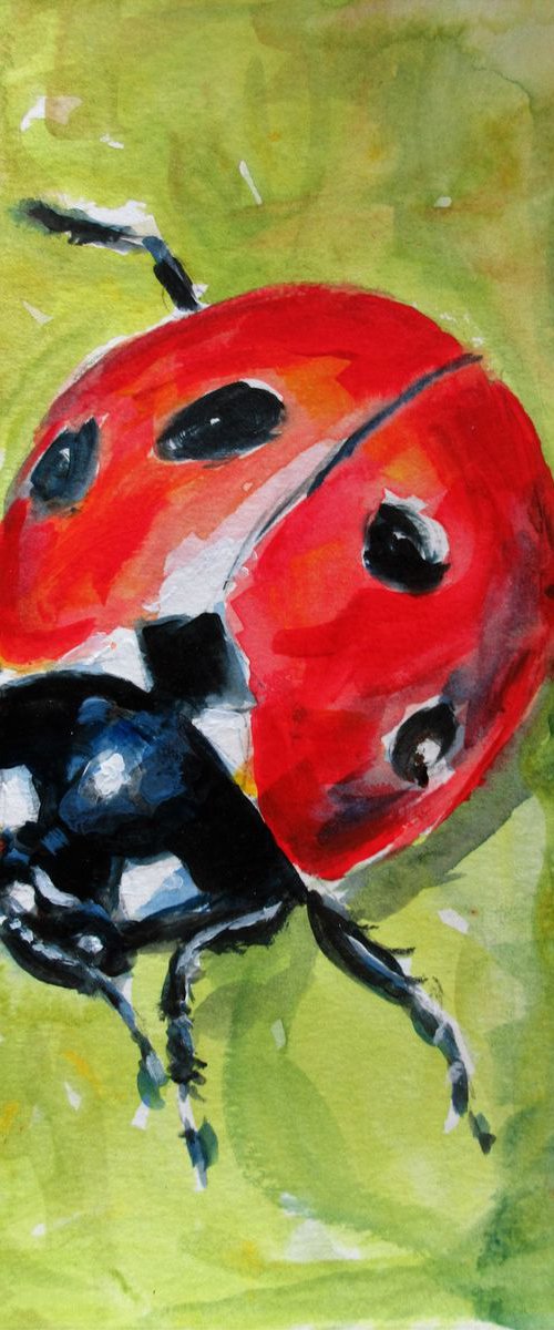 Ladybird 2 by Max Aitken