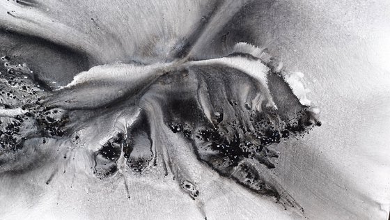Nature 579 — Abstract Windswept Feather