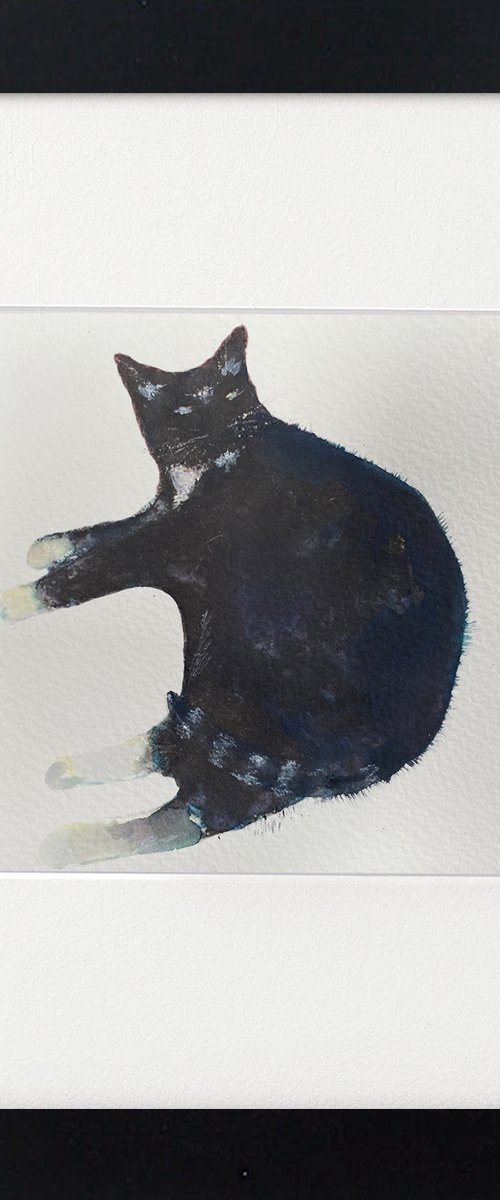 Mr Poo George the Cat framed by Teresa Tanner