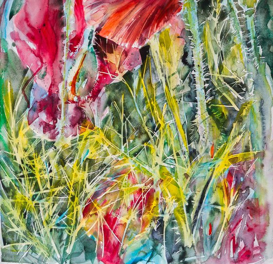 Poppy