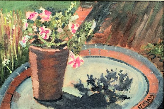 Pot plant and shadows in the garden - An original oil painting.