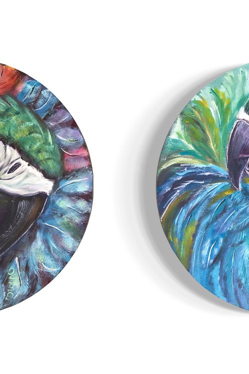 Diptych round parrots by Olga Volna