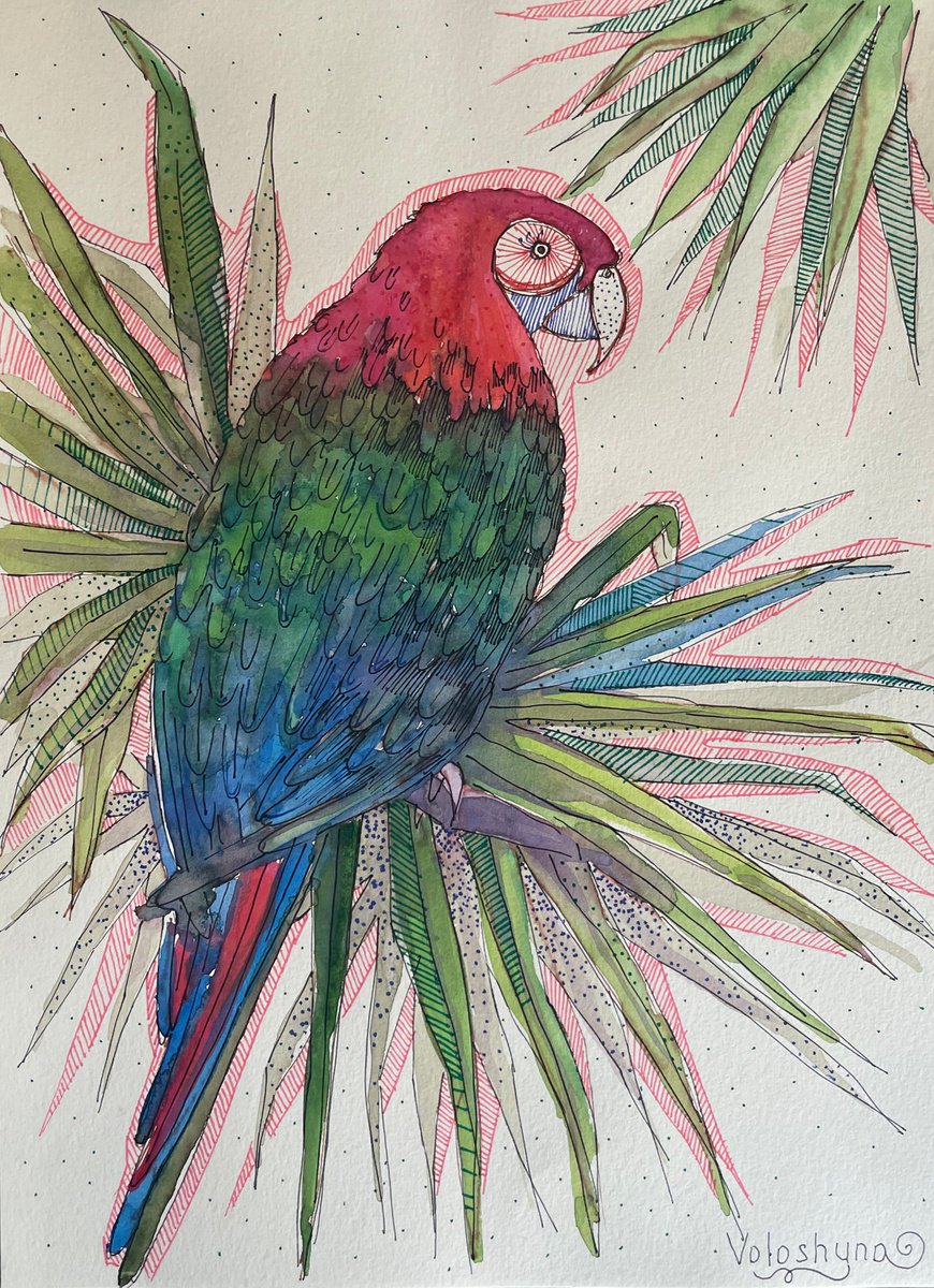 Colored parrot by Mary Voloshyna