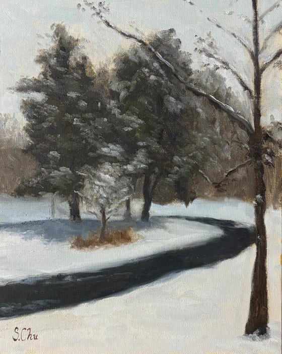 Snow in Prospect Park