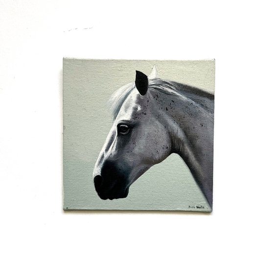 Horse Portrait 11