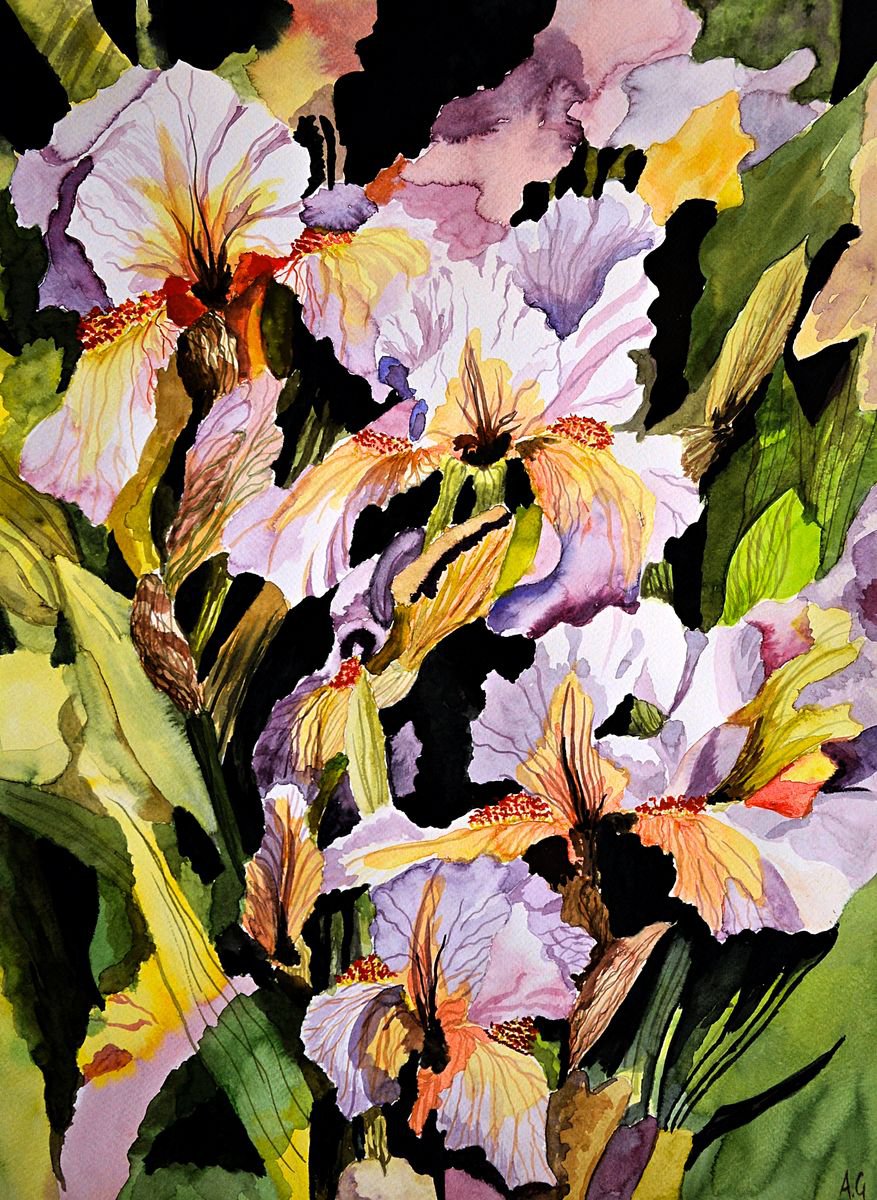 Expressive Botanical Watercolour By Aneta Gajos, 17 X 22, Irises, Original Artwork