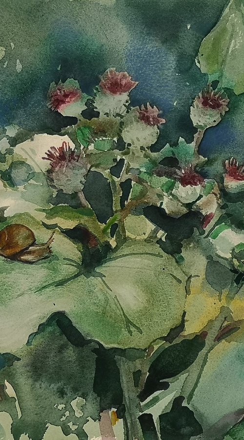 Morning freshness by Elena Sanina