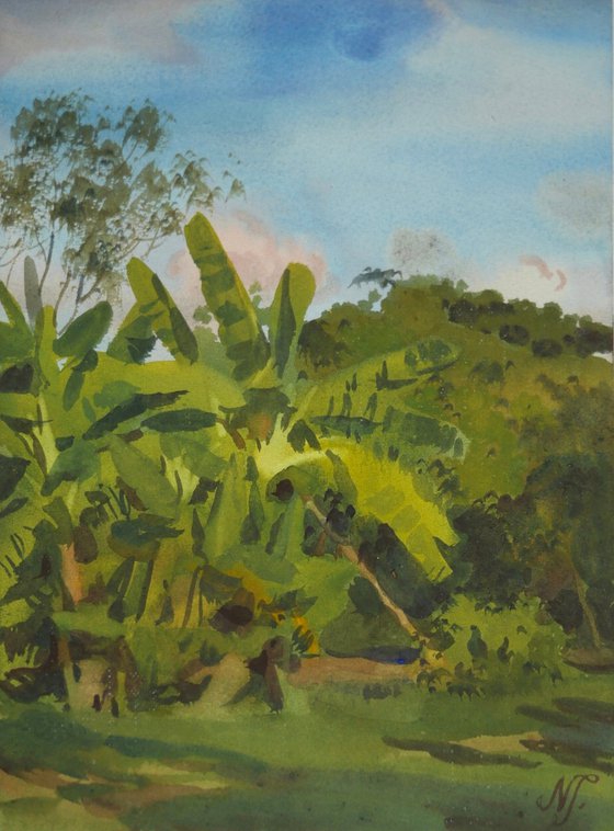 ''Banana grove'