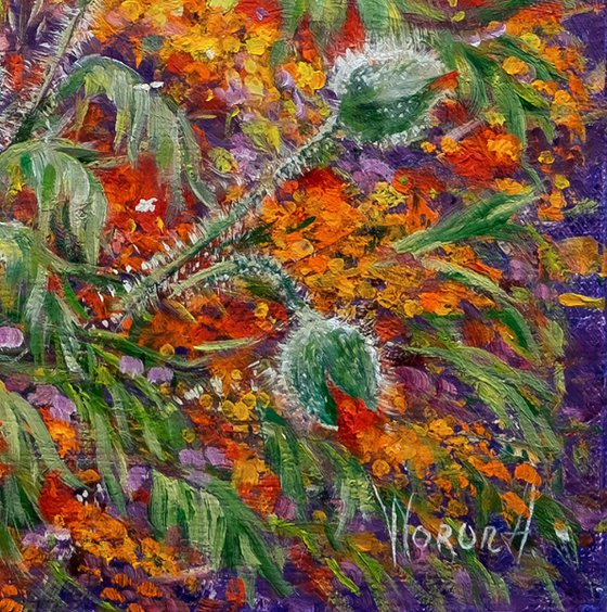 "Poppies with yellow flowers"