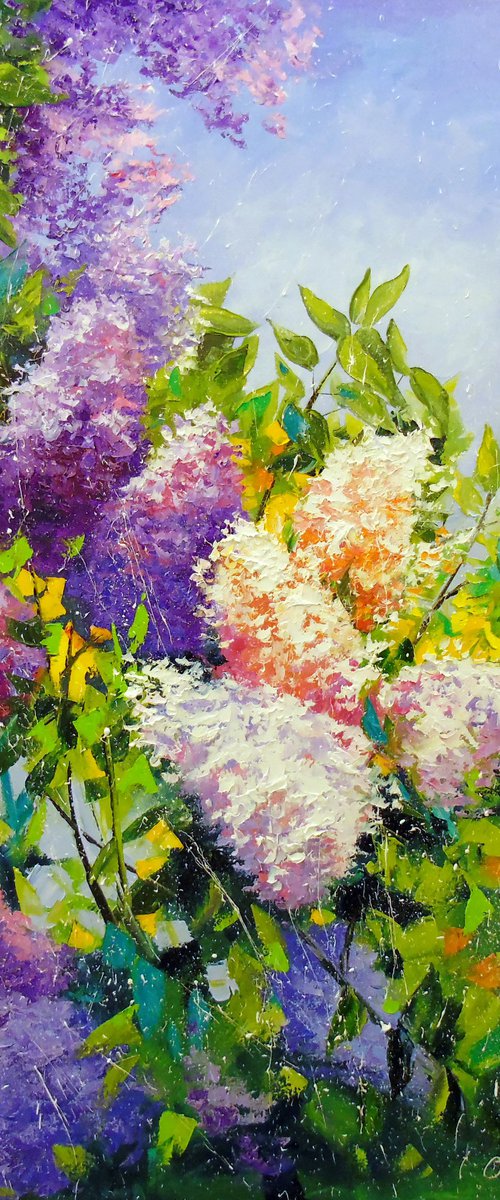 Fragrance of lilac by Olha Darchuk