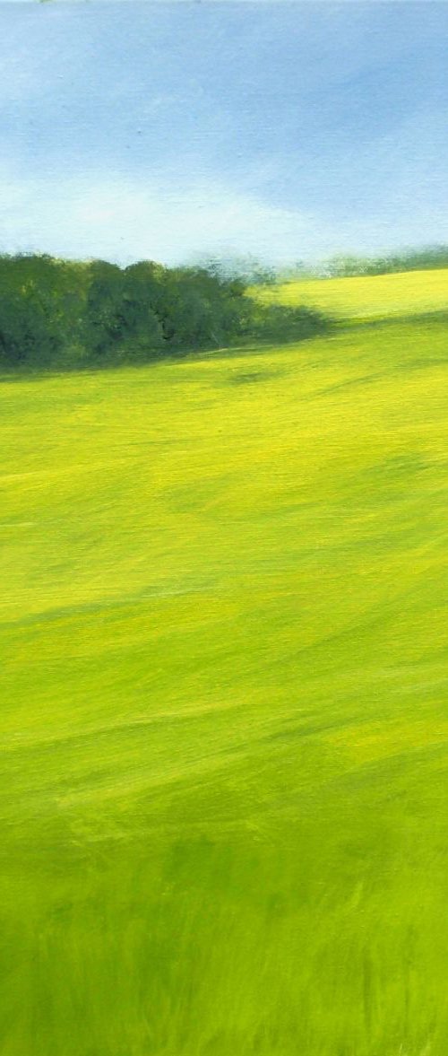 Surrey Fields 2 by Jan Rippingham