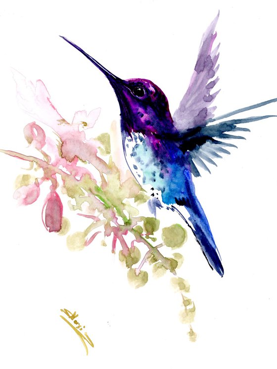 Hummingbird