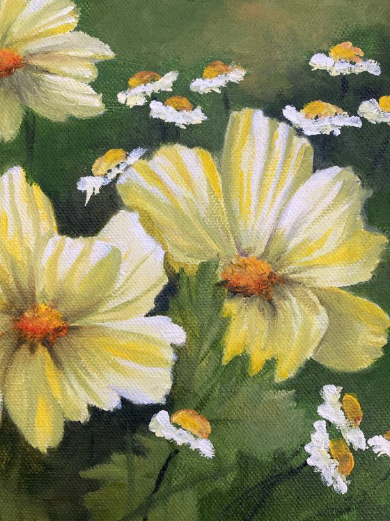 Yellow Cosmos