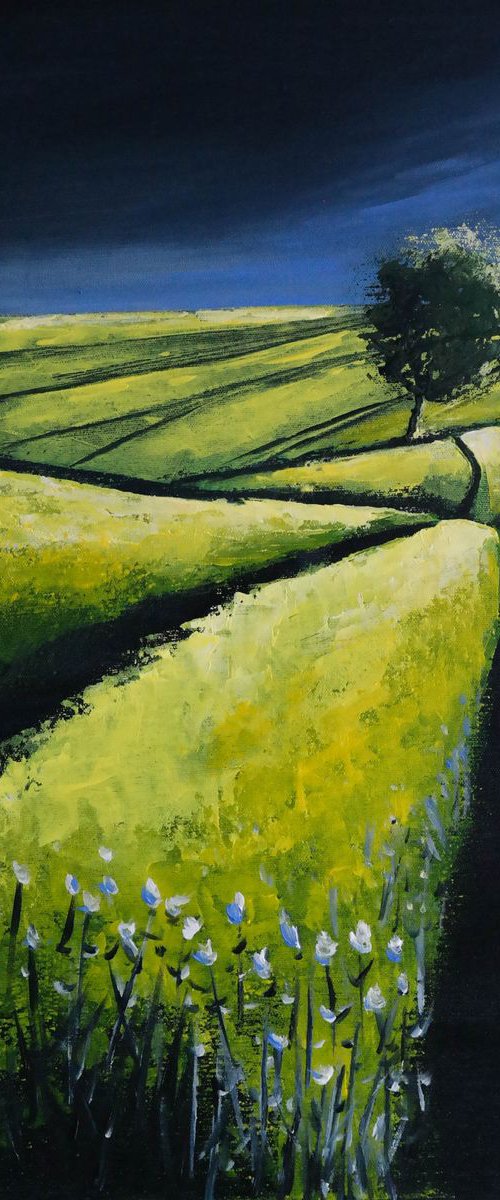 The Yellow and the storm - Fields and Colors Series by Danijela Dan