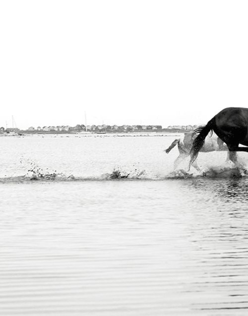 GALLOPING ON WATER by Andrew Lever
