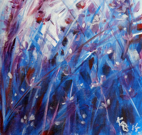 Lavender