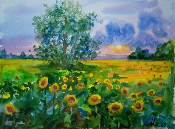 Yellow sunflowers