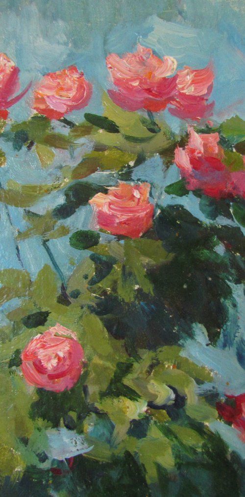Pink roses by Viktoriia Pidvarchan