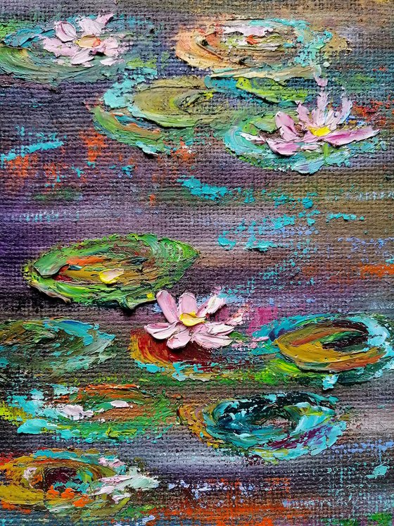 Enchanted Pool - Waterlily garden - Pooja Verma